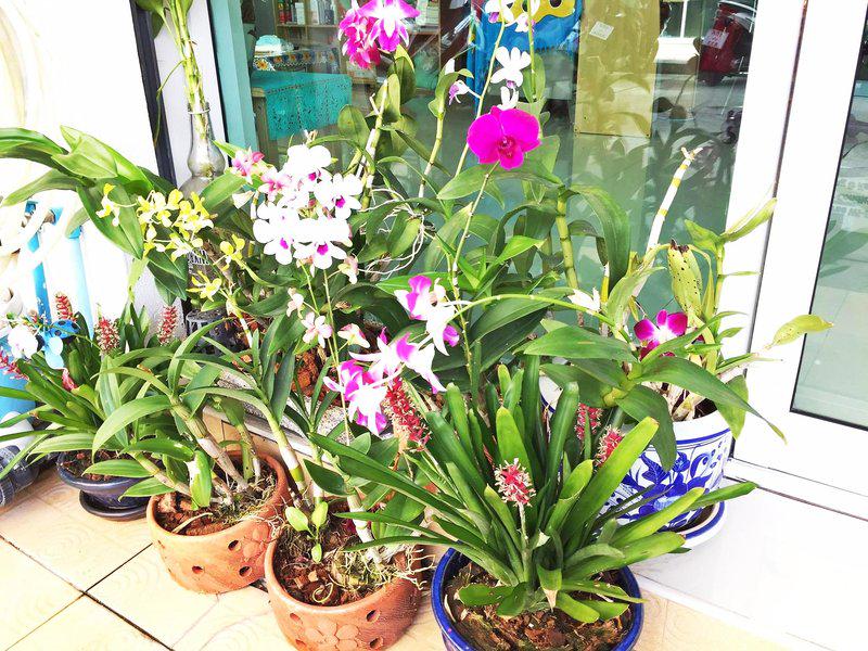 AF8B8C5F7E9AF25B51507800E9C024CF