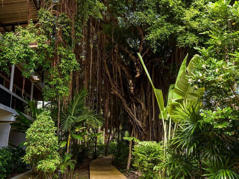 687FCAEBD7DECB9759EB73C6EF75185F