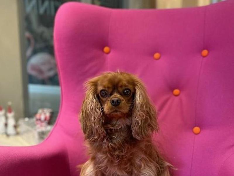 0B56AB9F4BE2758CA5E50102E27A9270