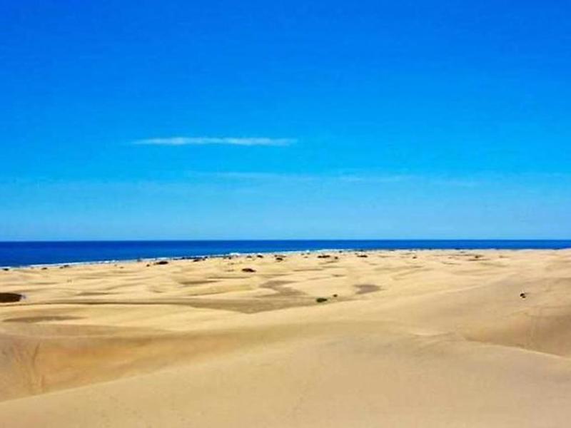 7D1B959D9A6BFE7D9FF6A099AAF98389