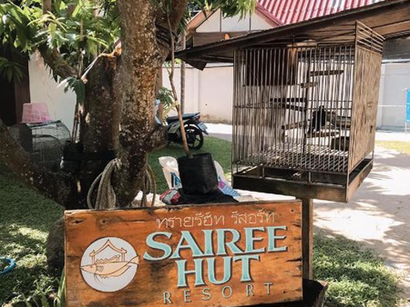 E12B32099C561E715FC16027385B2B52