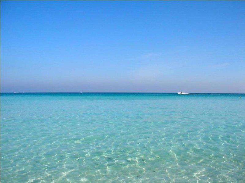 B72267DC790B6BE2A0283080AE0DFA76