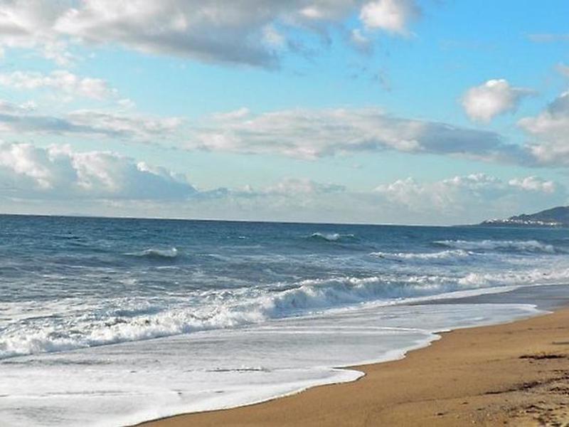 F219BEBA3B46B732D189296B29A2D4A3