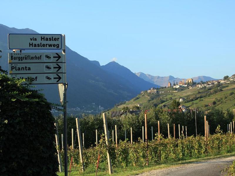 9980B84F1A986F2B79F517CDEF91E205