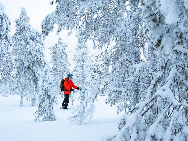 2370CD597FBF5EC2C895DD4C733305F8