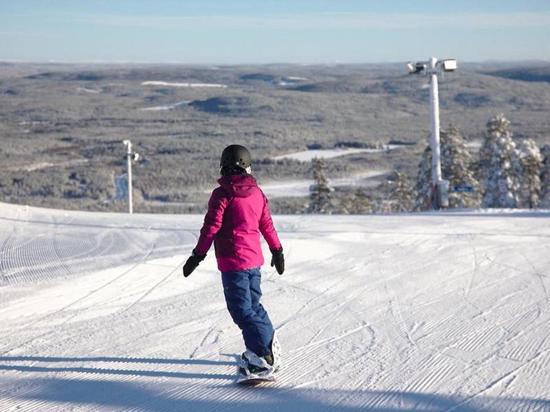 645E55951C7FAD5230DF79A0124355CD