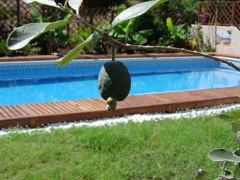 7718EE4AD2BFDEE7680989C4923FD4A3