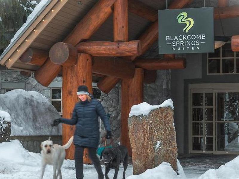 BFA2CD846B961F68D7A15D2A0DF927F4