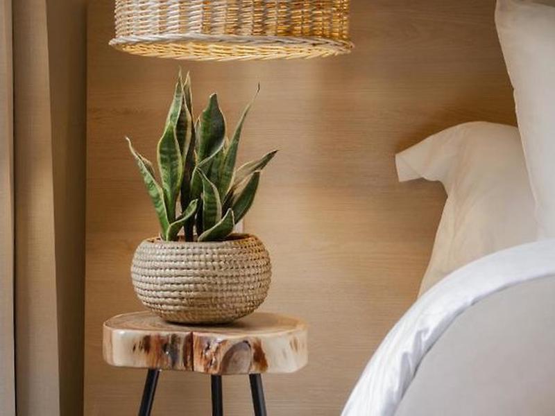 4CC338C0EDC081692A463074115CB13E