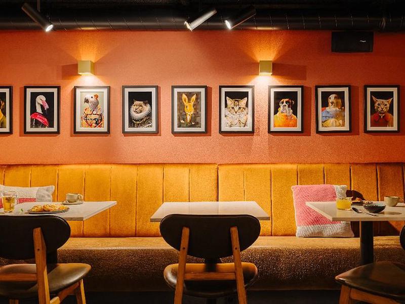 221DFDEFA6A9450D6C8430E4748810D2