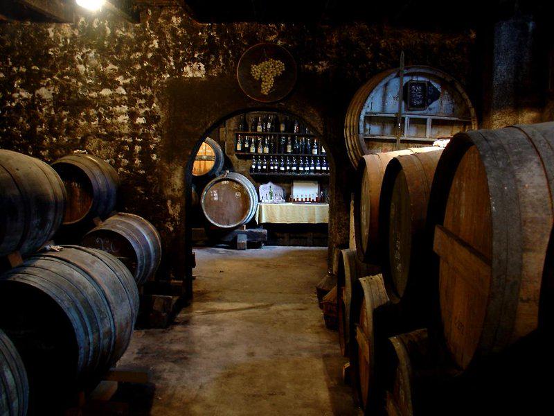 DBF2C07D7B2A4EBC9EC50A8113F42EB9