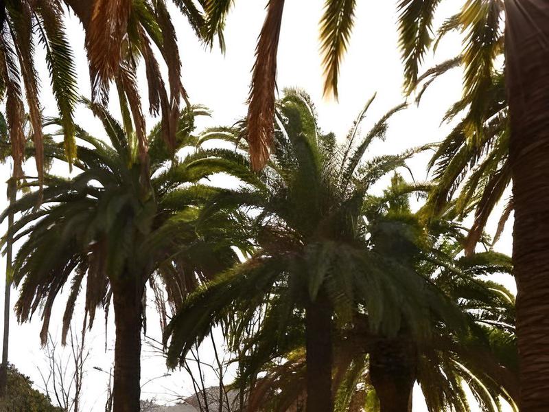 183E67F68C5DC4DAAB7D353E5F673C9A