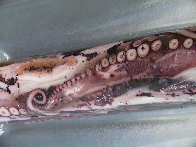 DA6142B0DC9DFAD94E5D41E3252769FA