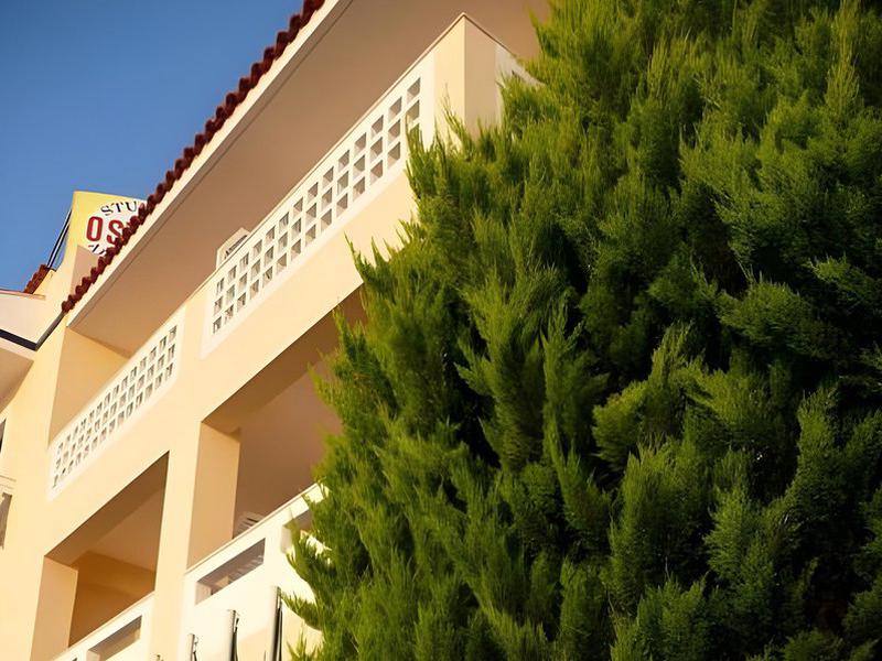 E74F8DC2A67ED6503771BAD4C7962663