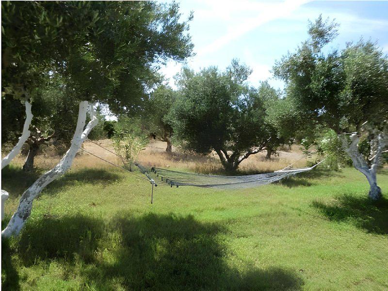 B409B5628940E6A8D6E3B2128F13141C