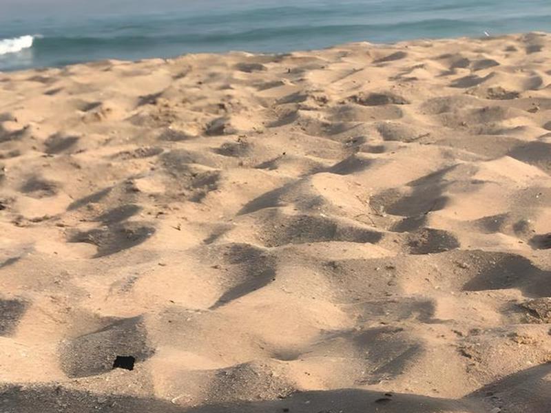 6753BCA8B472A47376D9678B5F5CC8EB