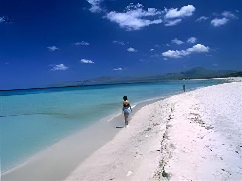 A9D0A96F7750D0292ABFC4E2DED00595