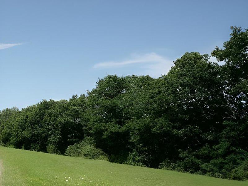 61D8BEBA3D7D53B2EB0F7741FE6F9E7A