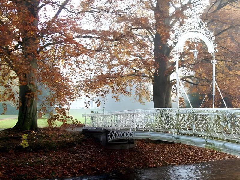 7718F5AC4F91F267142FF873D615CB8E