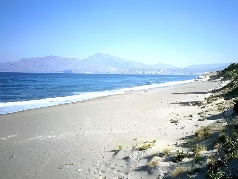 6DBFF5607BF5F331C4418CC07B69B264