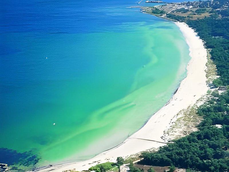 572269A1F9ECE58D5B6F4BC82C5B0FA6