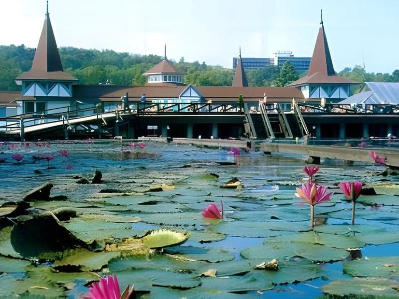 42F0293289971852CE2390CFB914E06D