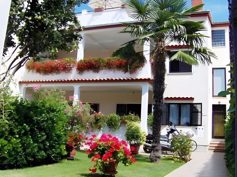 09F1277F84D5736225B9846BFB3144A5