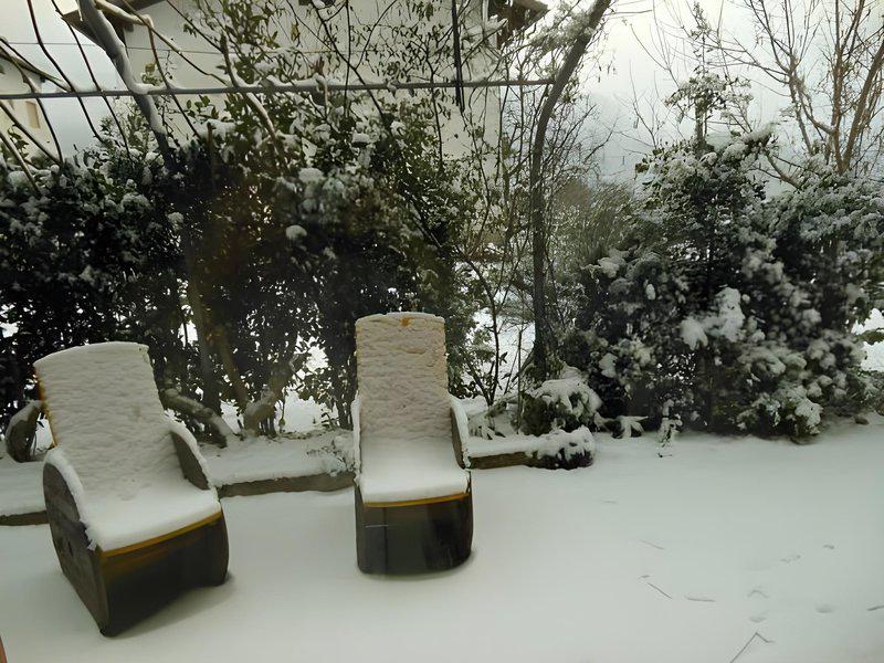 874B31FEF9435FD5C6EF12F65C913D03