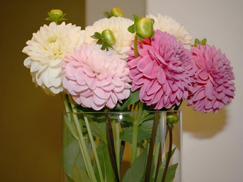 5D0612546A78469D8E0ACE6ACD69243E