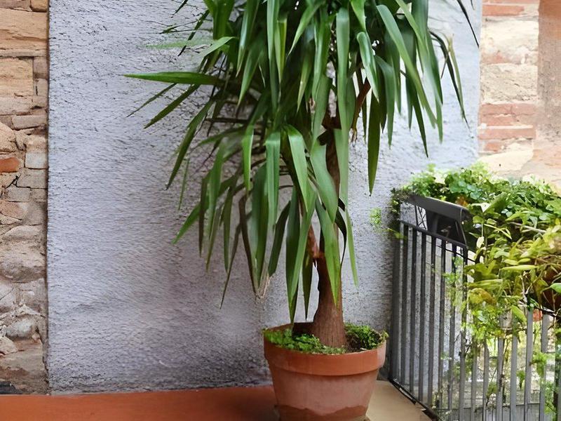 CD1FBFFF87D63ECB47DB380CA7256605