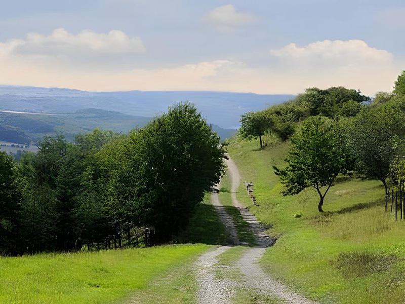 C7A617E25EAF088914B09487B9681315