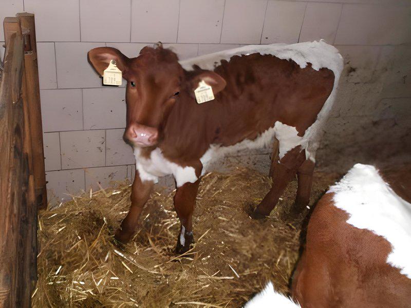 A5841A640E2DB4EA8923E9E3140B8830