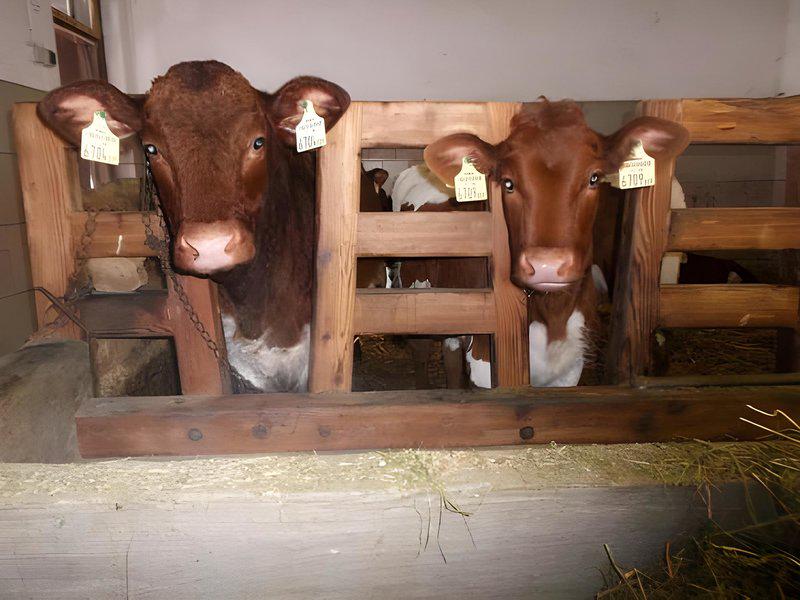 5E479E59956B7FE7745AD1372BDD7E26