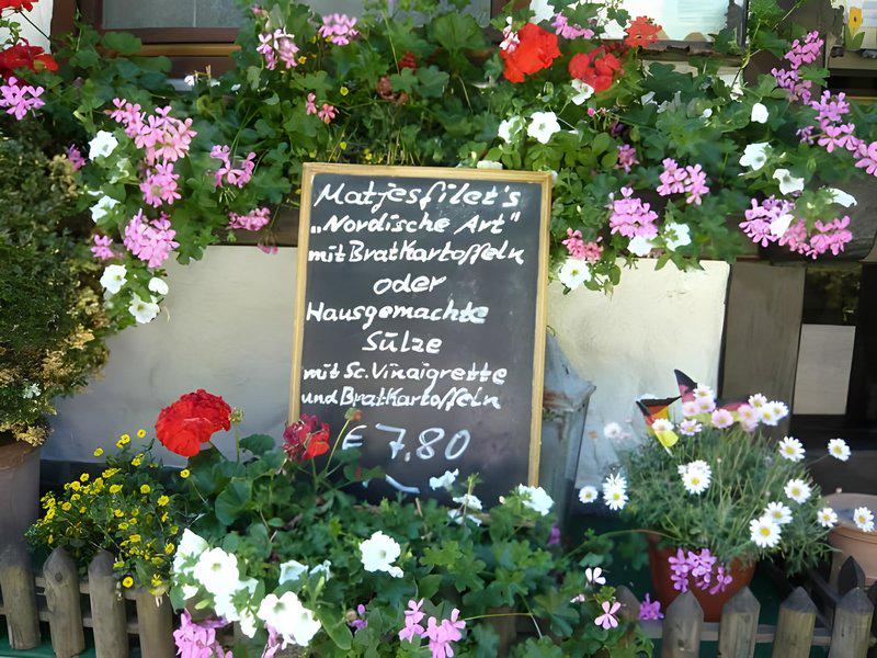 52581823B4ADD7C7C4FA1EEB71CFA923