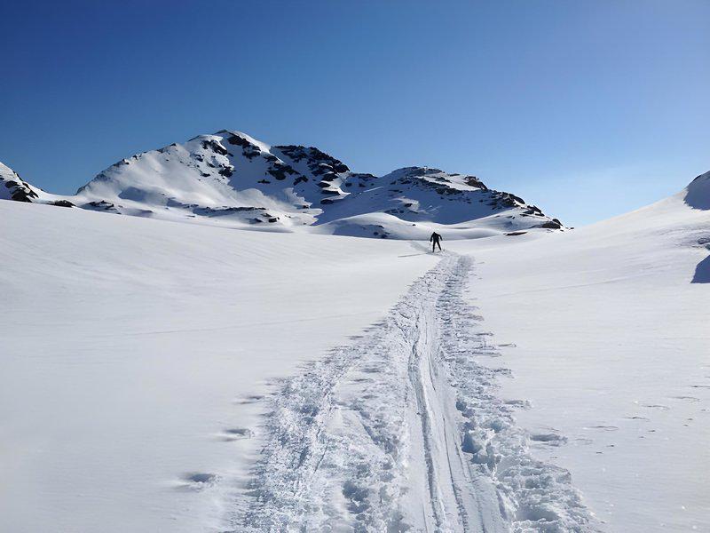 7D9D9B05426FFA1784E1DC9B87199BB1