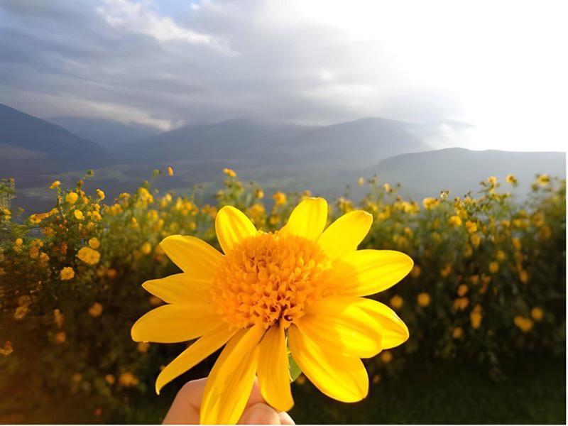 53232BB2418A9B046D132111184B218E