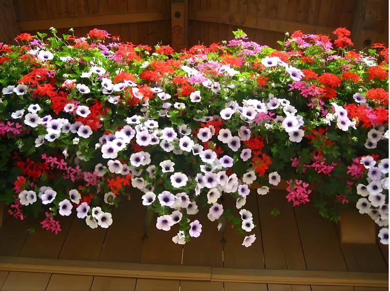 02F44CAC0D757AE24B1AAAAB1658FC2F