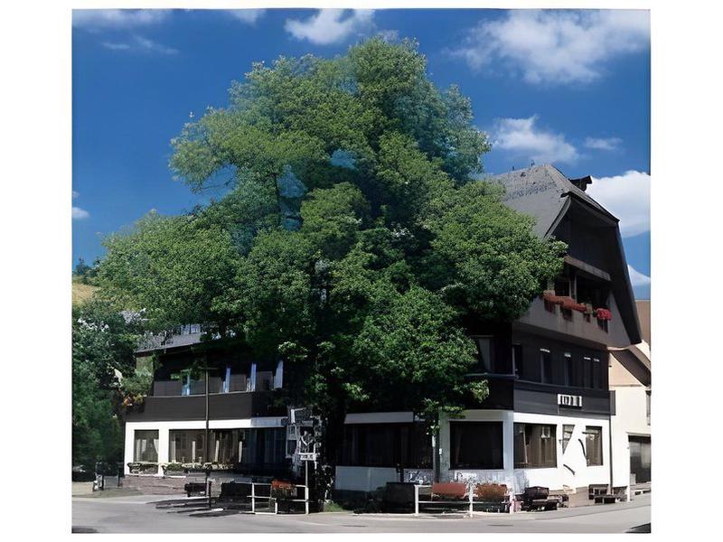 8DBCECE2B0D5E5A225E3A1C49F8F384B