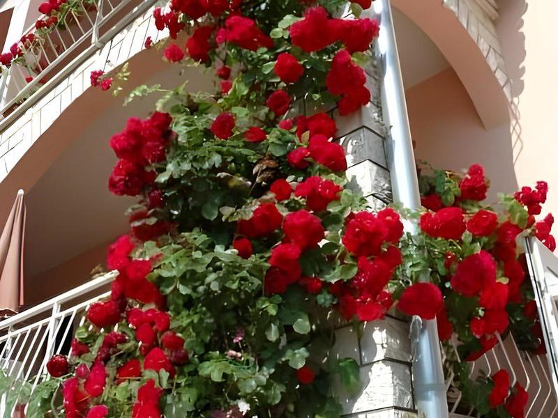 27693B29A695F4E00624278FD6E286DC