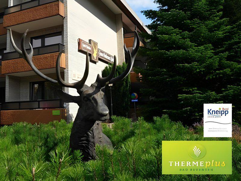 E1601F996853A39A28B494856D7874C8