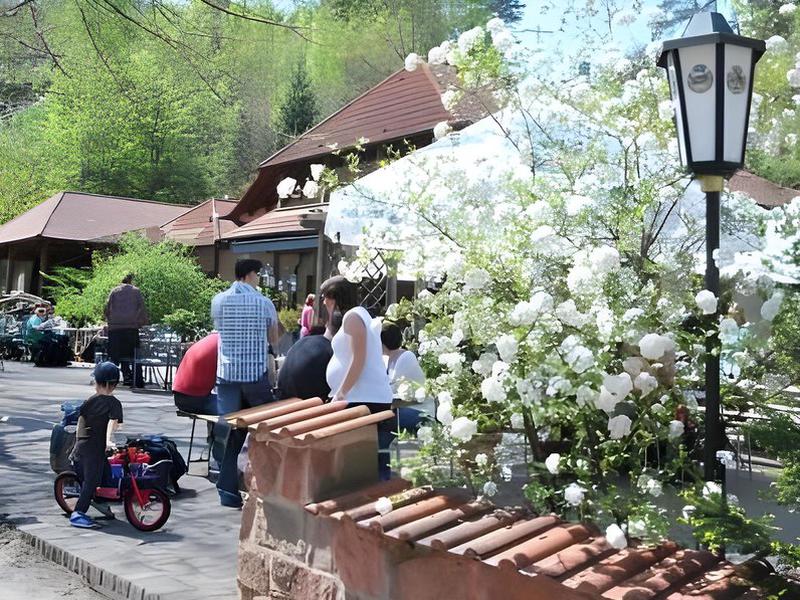 D9495502967B5C11D6118FBE71B79C9B