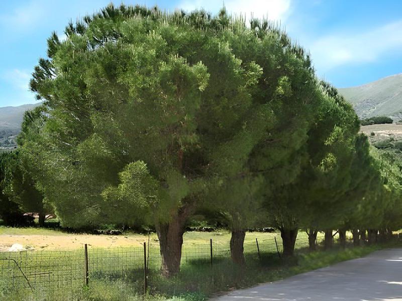 A4362AD9301DA5640D6B7AFBD9E29F0E