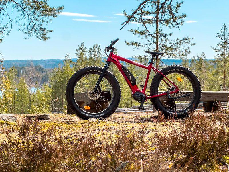 6787EF9869D470B57BBF333F2426CCE9