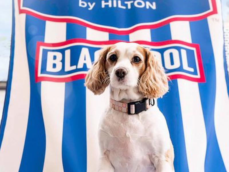 789D07882F2B1BC2DBA1086475EA05A4