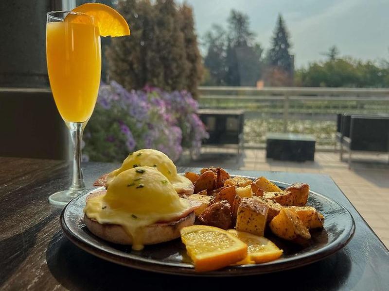 1F29C0320257E22D0982EE0E134D70D4