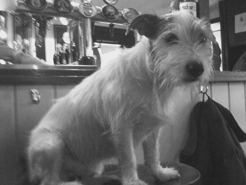 E44D156F92C464BF256B057A18AF2D8A