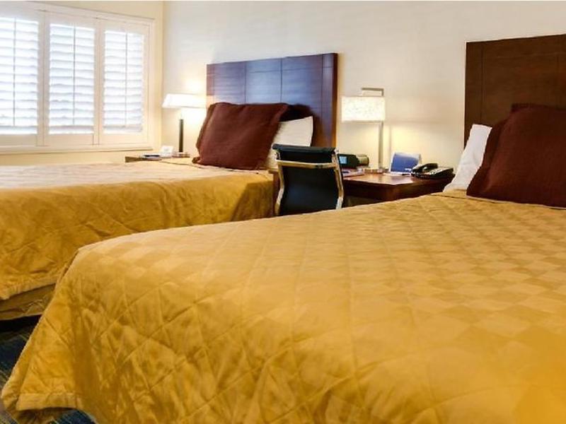 965961900163076DBF3FDA361A001AFE