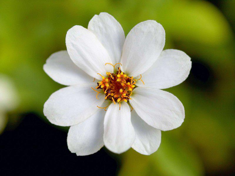 A81738C45BD2F120FE0E3F475C7BDCBE