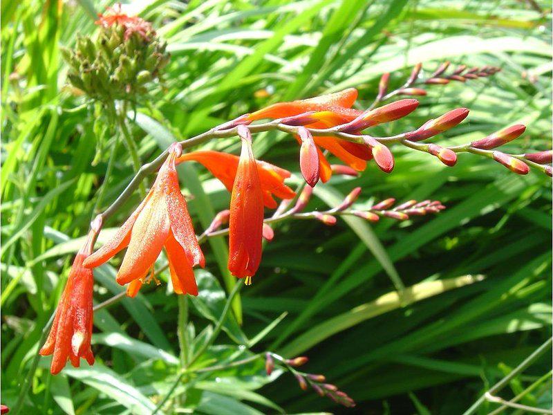 B51FB85D0350F78E1BCD7082CBD1874F