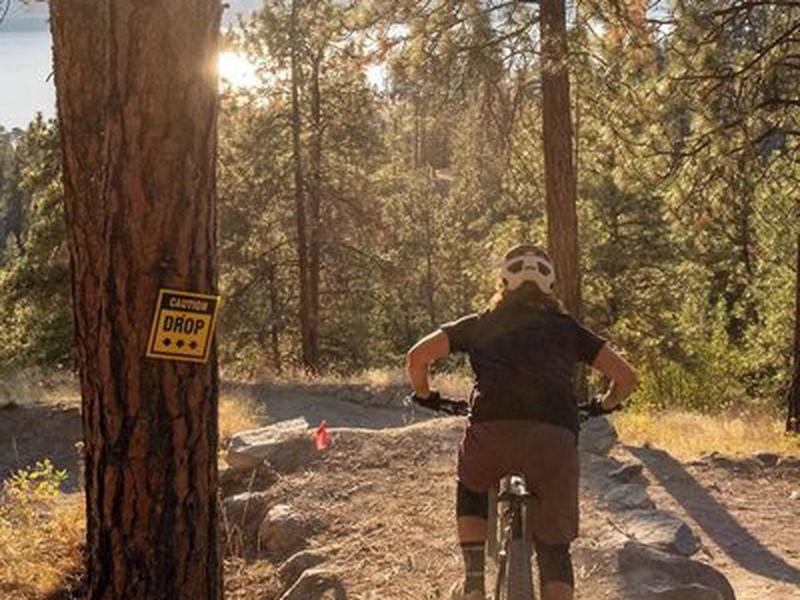 B81032E783AD718A549890FD5C273957